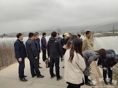 鄭州商品交易所深入天水開展馬鈴薯產(chǎn)業(yè)調研，助力期貨市場服務鄉(xiāng)村振興