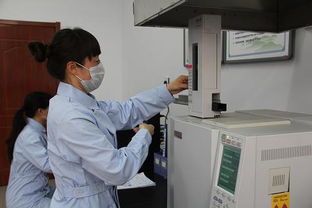 承德市多措并舉推進(jìn)農(nóng)產(chǎn)品綜合利用技術(shù)開發(fā)，賦能農(nóng)業(yè)綠色轉(zhuǎn)型與產(chǎn)業(yè)升級